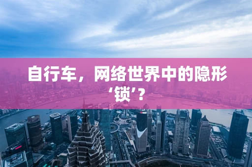 自行车，网络世界中的隐形‘锁’？