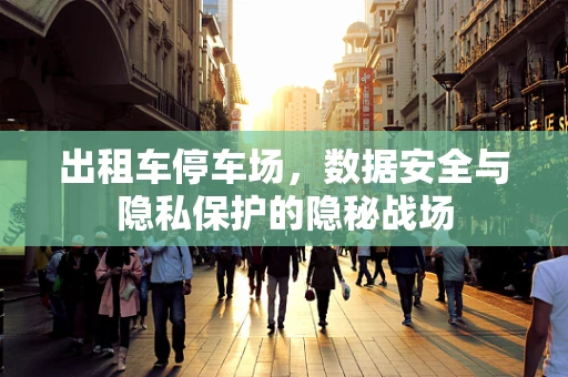 出租车停车场，数据安全与隐私保护的隐秘战场