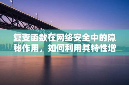 复变函数在网络安全中的隐秘作用，如何利用其特性增强加密算法的稳健性？