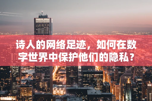 诗人的网络足迹，如何在数字世界中保护他们的隐私？