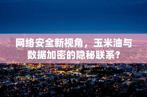 网络安全新视角，玉米油与数据加密的隐秘联系？