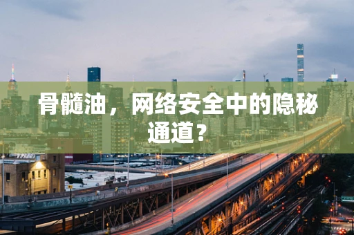 骨髓油，网络安全中的隐秘通道？