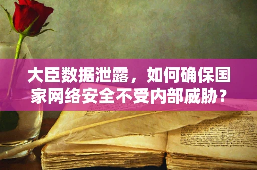 大臣数据泄露，如何确保国家网络安全不受内部威胁？