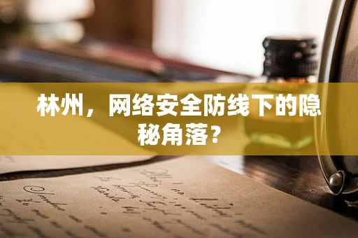 林州，网络安全防线下的隐秘角落？