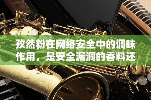 孜然粉在网络安全中的调味作用，是安全漏洞的香料还是误用的隐患？