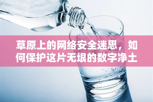草原上的网络安全迷思，如何保护这片无垠的数字净土？