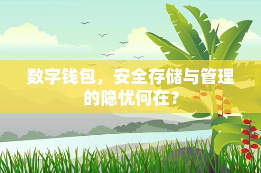 数字钱包，安全存储与管理的隐忧何在？