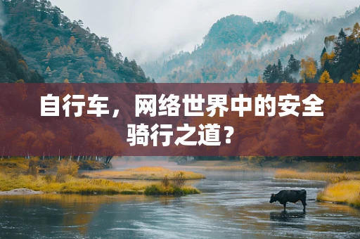自行车，网络世界中的安全骑行之道？