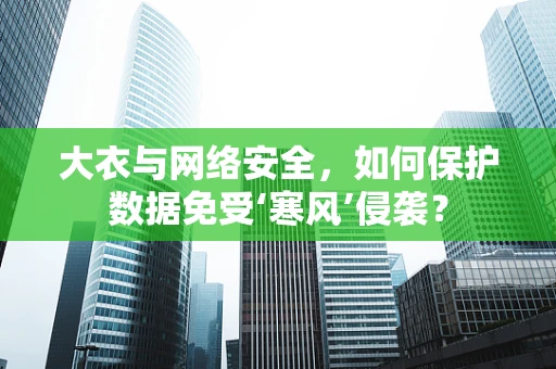 大衣与网络安全，如何保护数据免受‘寒风’侵袭？
