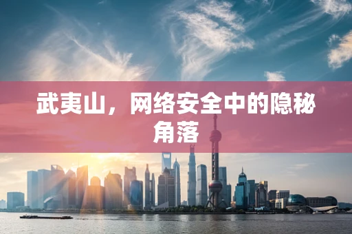 武夷山，网络安全中的隐秘角落
