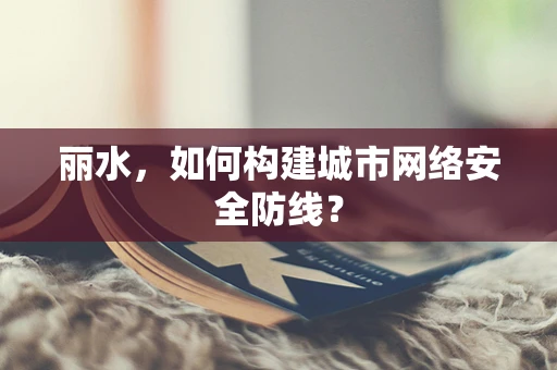 丽水，如何构建城市网络安全防线？