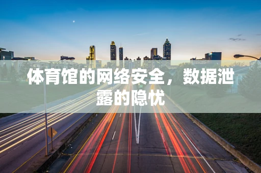 体育馆的网络安全，数据泄露的隐忧