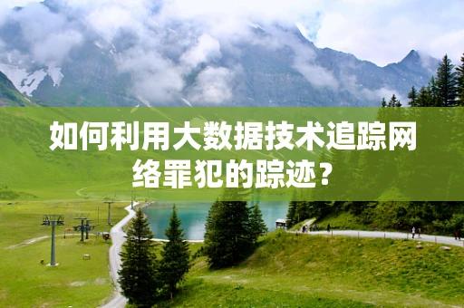 如何利用大数据技术追踪网络罪犯的踪迹？