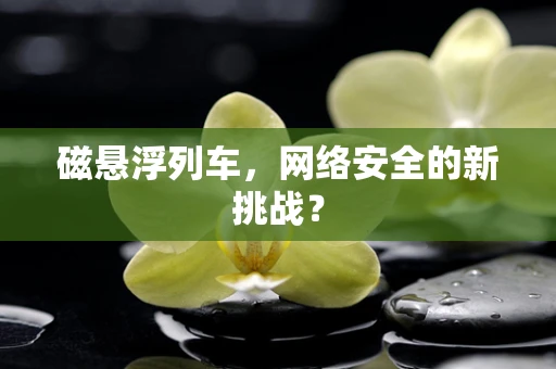 磁悬浮列车，网络安全的新挑战？