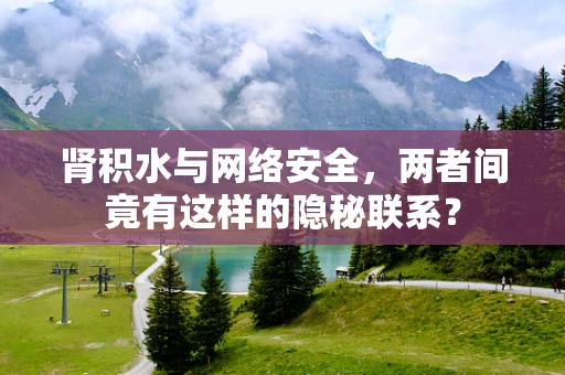 肾积水与网络安全，两者间竟有这样的隐秘联系？