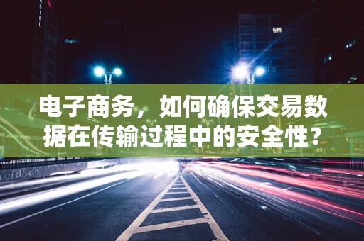 电子商务，如何确保交易数据在传输过程中的安全性？