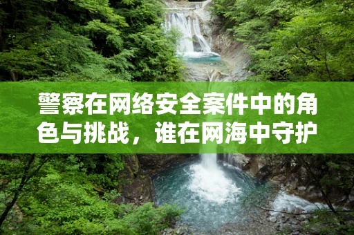 警察在网络安全案件中的角色与挑战，谁在网海中守护正义？