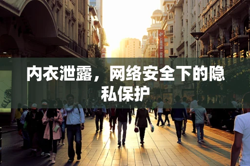内衣泄露，网络安全下的隐私保护
