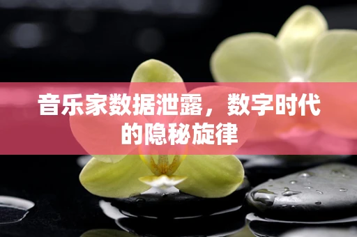 音乐家数据泄露，数字时代的隐秘旋律