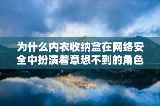 为什么内衣收纳盒在网络安全中扮演着意想不到的角色？