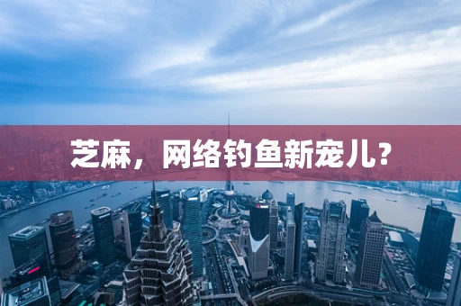 芝麻，网络钓鱼新宠儿？