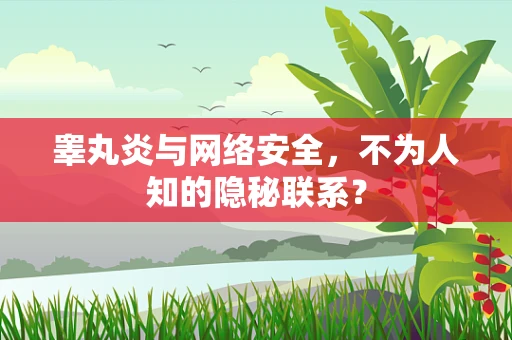 睾丸炎与网络安全，不为人知的隐秘联系？