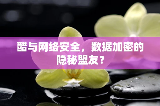 醋与网络安全，数据加密的隐秘盟友？