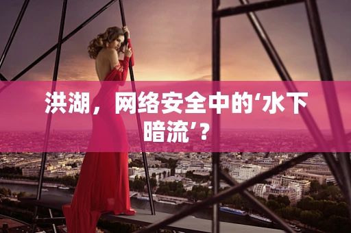 洪湖，网络安全中的‘水下暗流’？