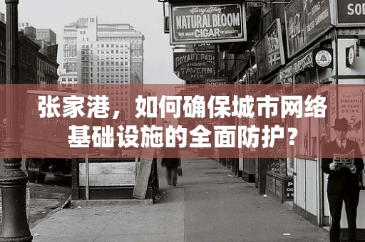 张家港，如何确保城市网络基础设施的全面防护？