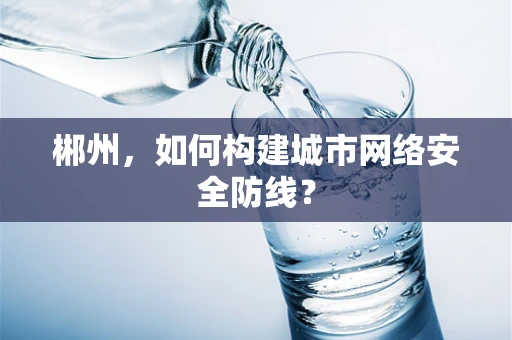 郴州，如何构建城市网络安全防线？
