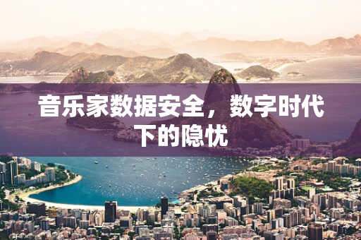 音乐家数据安全，数字时代下的隐忧