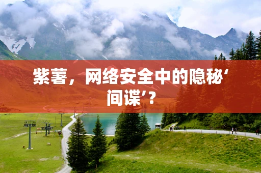 紫薯，网络安全中的隐秘‘间谍’？