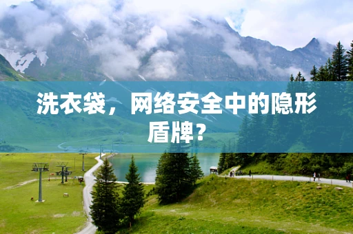 洗衣袋，网络安全中的隐形盾牌？