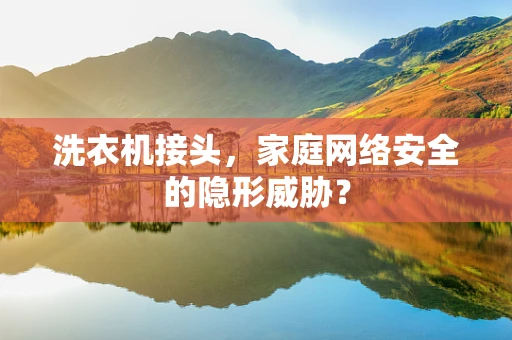 洗衣机接头，家庭网络安全的隐形威胁？