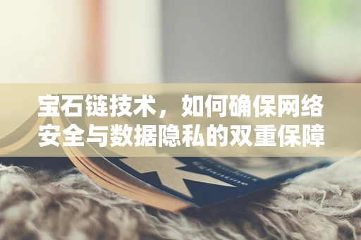 宝石链技术，如何确保网络安全与数据隐私的双重保障？
