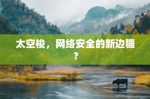 太空梭，网络安全的新边疆？