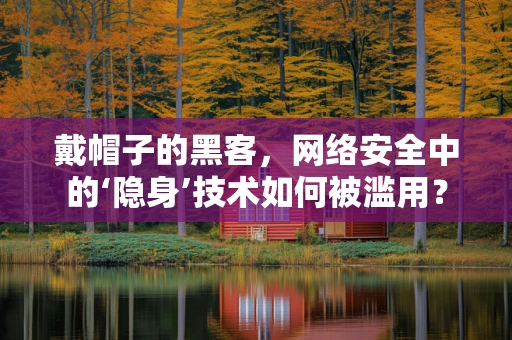 戴帽子的黑客，网络安全中的‘隐身’技术如何被滥用？