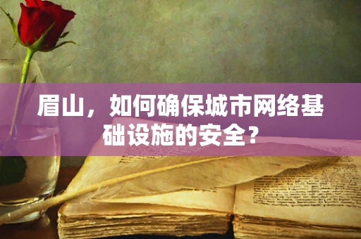 眉山，如何确保城市网络基础设施的安全？