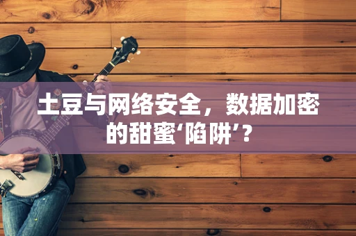 土豆与网络安全，数据加密的甜蜜‘陷阱’？