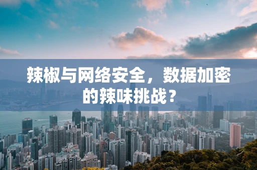 辣椒与网络安全，数据加密的辣味挑战？