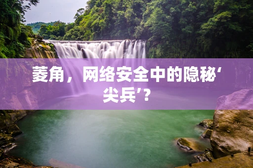 菱角，网络安全中的隐秘‘尖兵’？