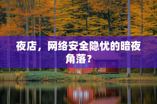 夜店，网络安全隐忧的暗夜角落？