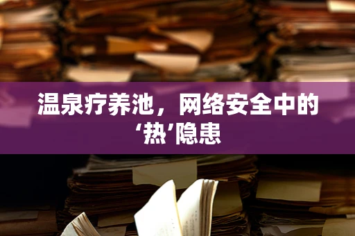 温泉疗养池，网络安全中的‘热’隐患
