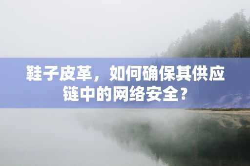 鞋子皮革，如何确保其供应链中的网络安全？
