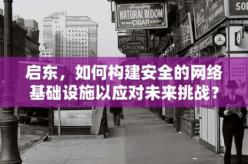 启东，如何构建安全的网络基础设施以应对未来挑战？