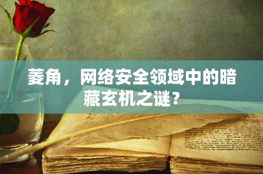 菱角，网络安全领域中的暗藏玄机之谜？