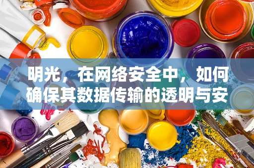 明光，在网络安全中，如何确保其数据传输的透明与安全？