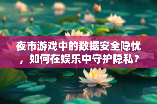 夜市游戏中的数据安全隐忧，如何在娱乐中守护隐私？