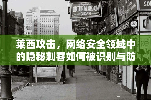 莱西攻击，网络安全领域中的隐秘刺客如何被识别与防御？