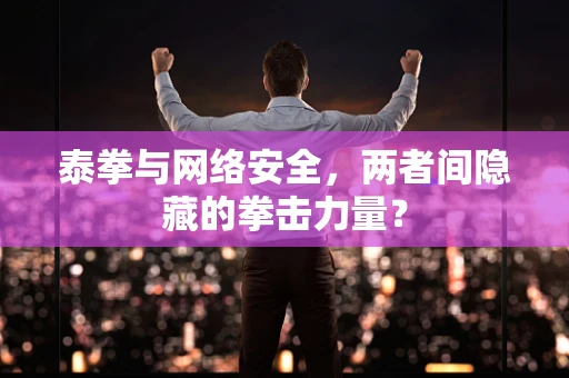 泰拳与网络安全，两者间隐藏的拳击力量？